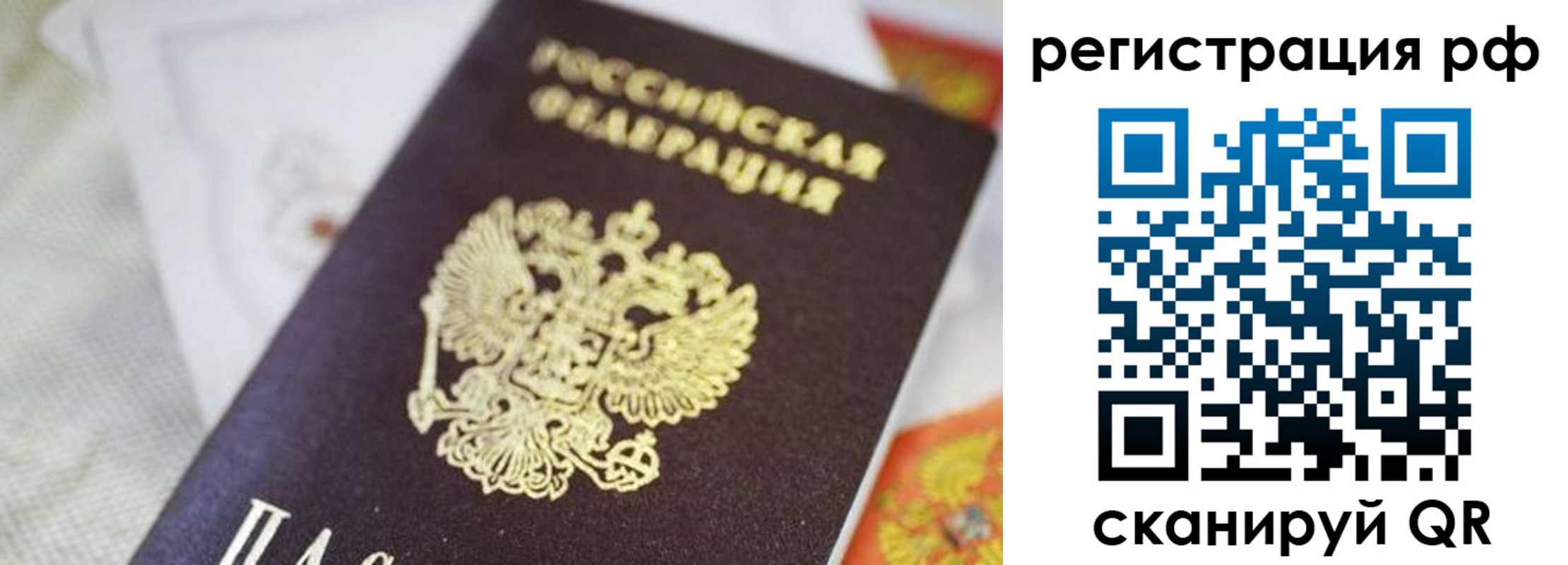 прописка гарантия в Кандалакше